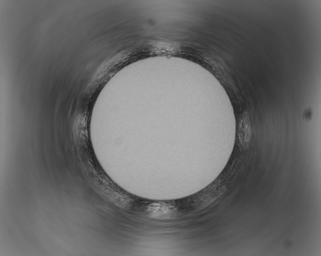 X0000115090714200912081235