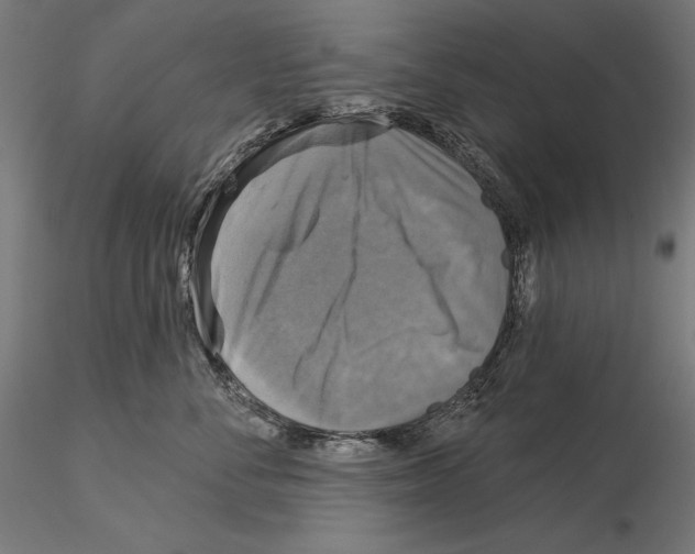 X0000115090716200912081235