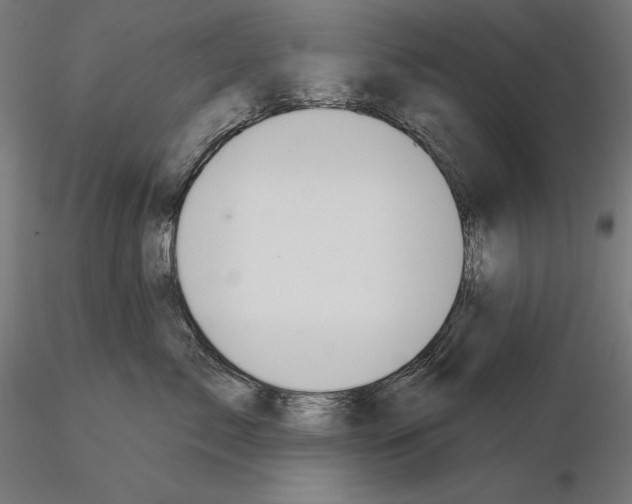 X0000115090717200912081235
