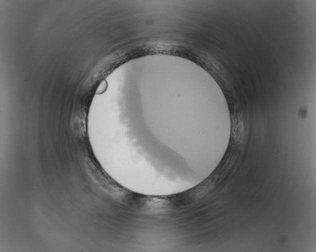 X0000115090718200912081235