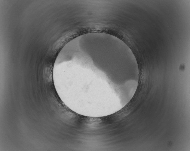 X0000115090719200912081235