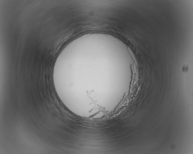X0000115090720200912081235