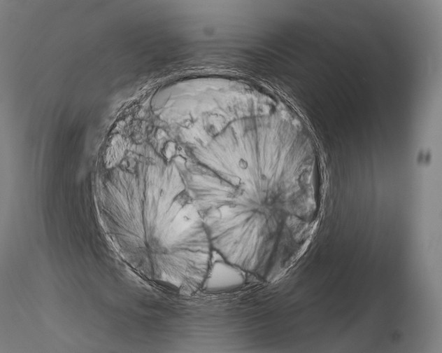 X0000115090721200912081234