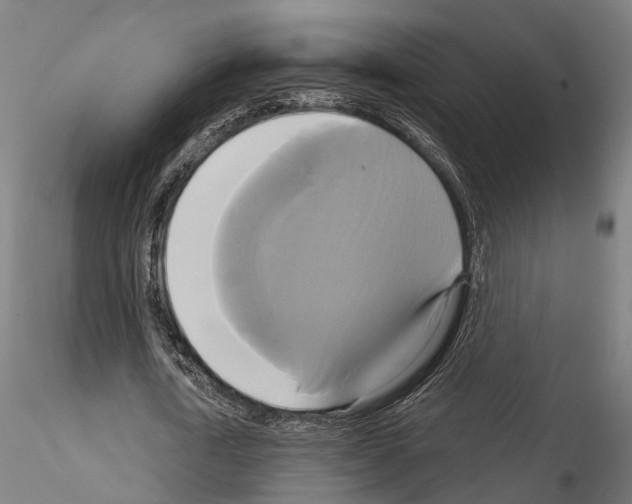 X0000115090722200912081234