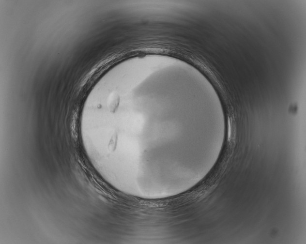 X0000115090723200912081234