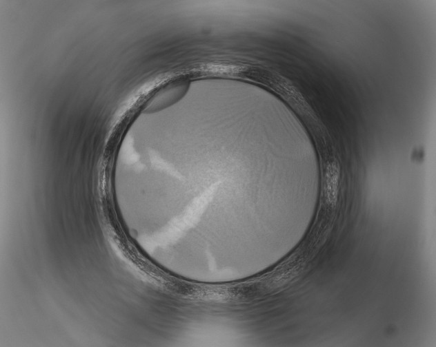 X0000115090726200912081234