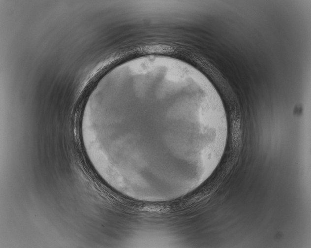 X0000115090727200912081234