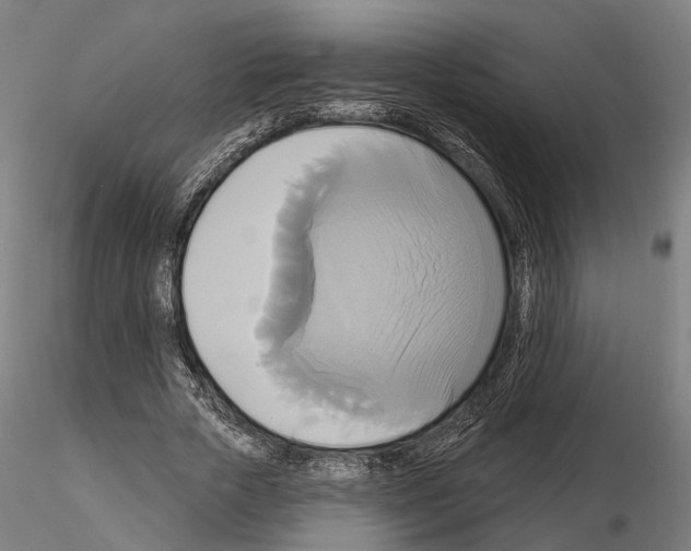 X0000115090729200912081234