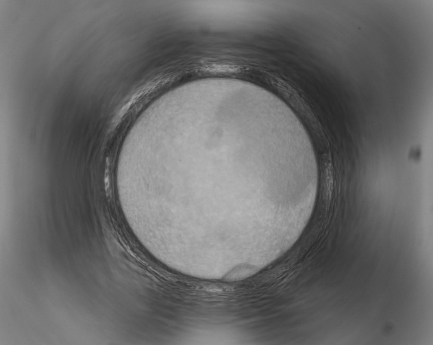 X0000115090731200912081234