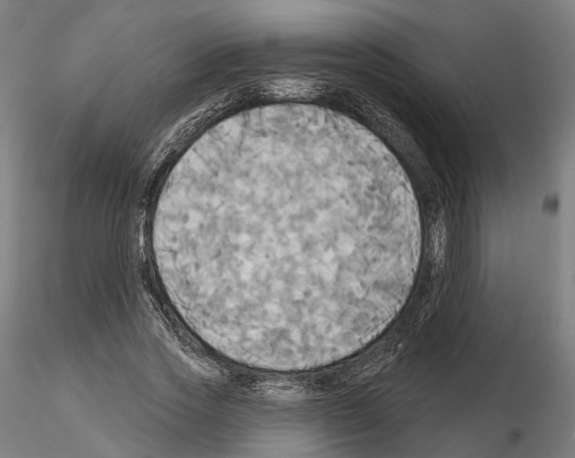 X0000115090733200912081234
