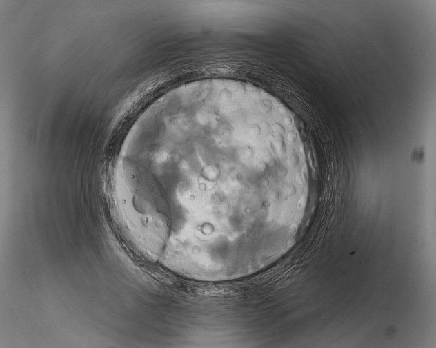 X0000115090734200912081234