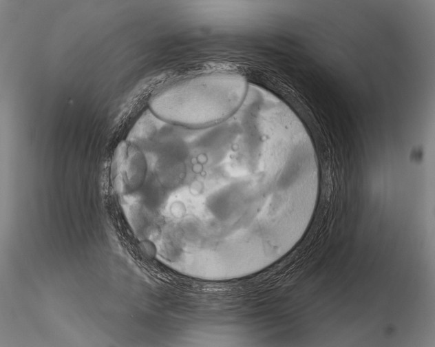 X0000115090738200912081234