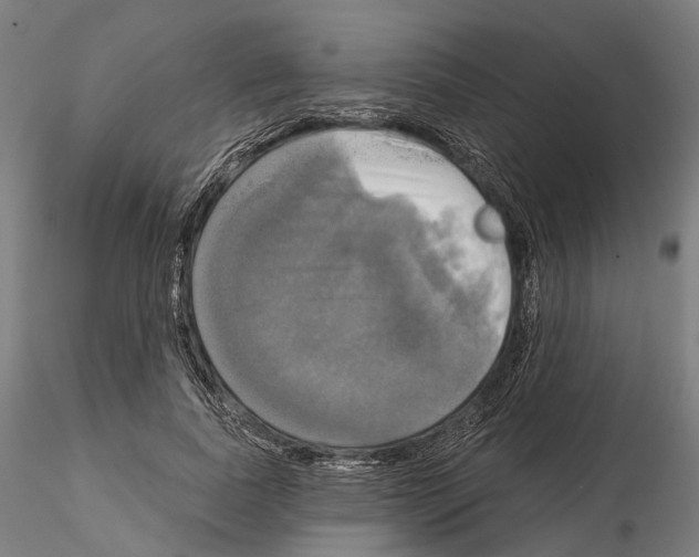 X0000115090739200912081234