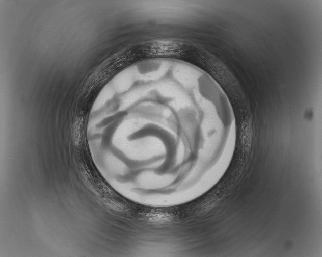 X0000115090741200912081234