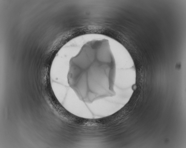 X0000115090742200912081234