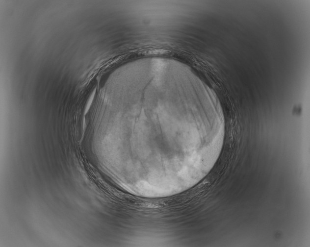 X0000115090743200912081234