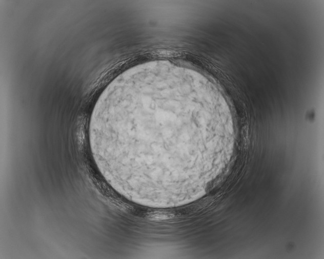 X0000115090746200912081234