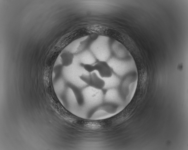 X0000115090749200912081234