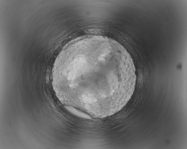 X0000115090751200912081234
