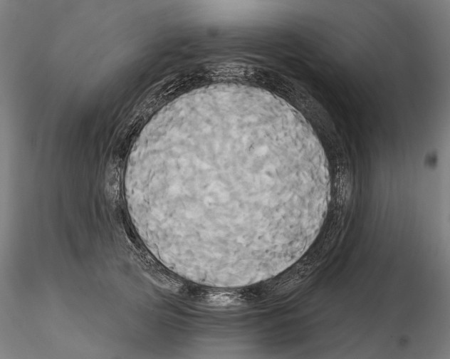 X0000115090753200912081234