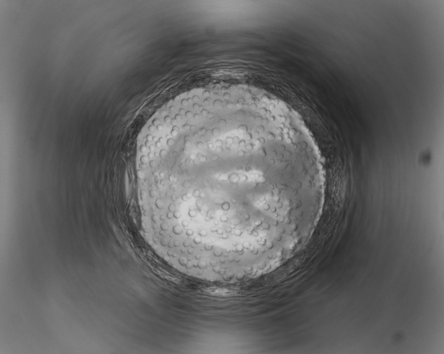 X0000115090755200912081234
