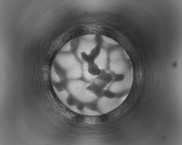 X0000115090757200912081234