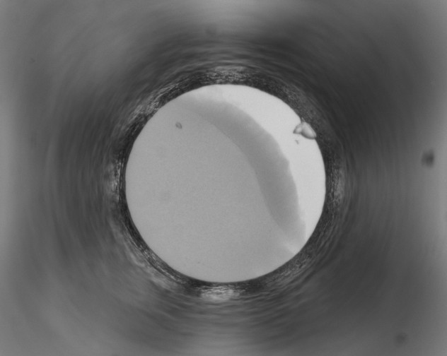 X0000115090759200912081234
