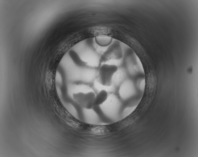 X0000115090761200912081234