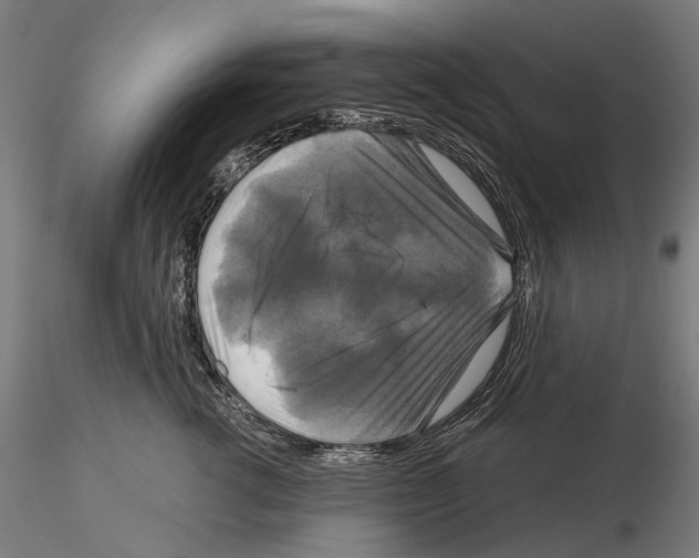 X0000115090762200912081235