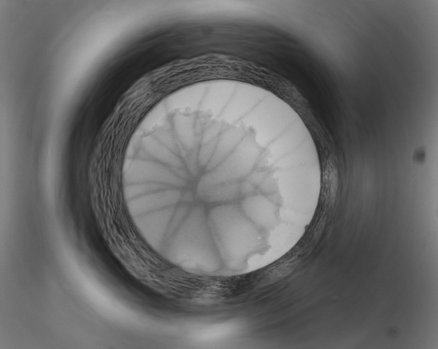 X0000115090765200912081235