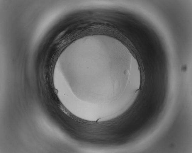 X0000115090766200912081235