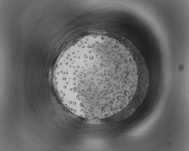 X0000115090767200912081235