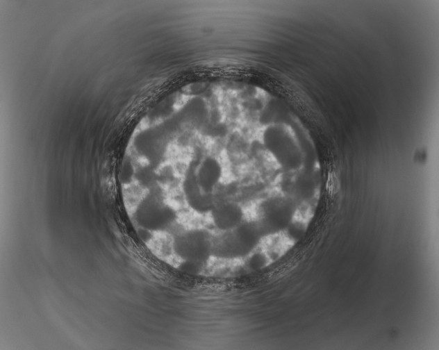 X0000115090771200912081234