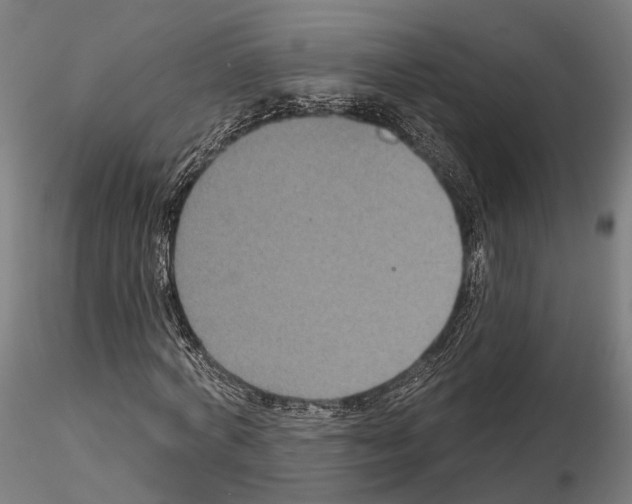 X0000115090772200912081234