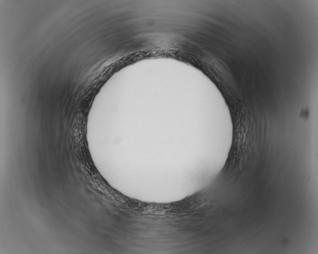 X0000115090773200912081234
