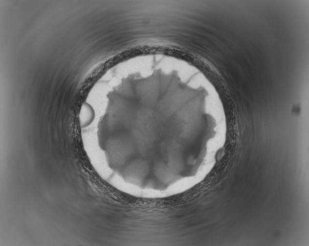 X0000115090775200912081234
