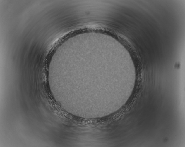 X0000115090776200912081234