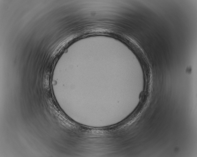 X0000115090777200912081234
