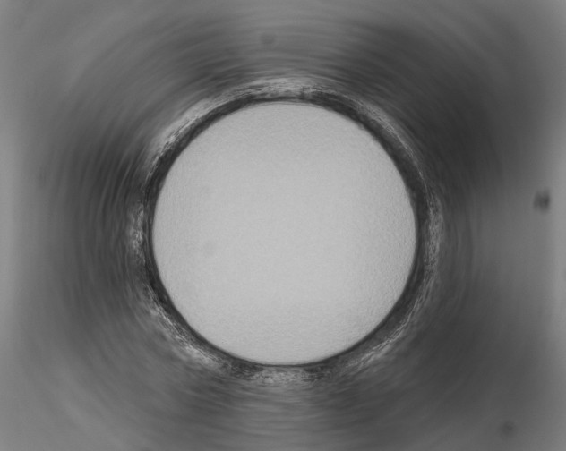 X0000115090778200912081234
