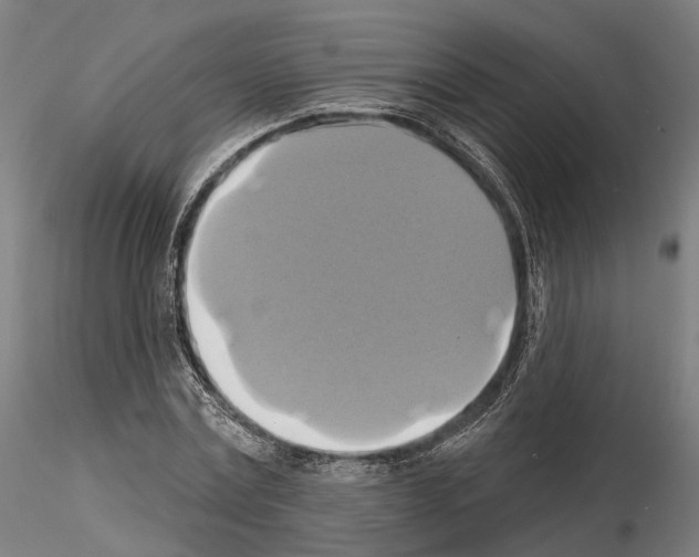 X0000115090779200912081234