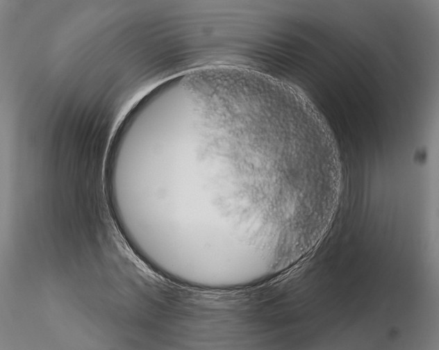 X0000115090780200912081234