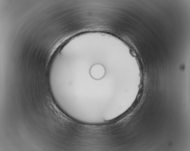 X0000115090781200912081234