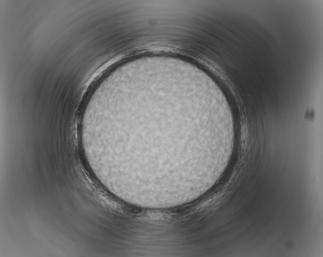X0000115090782200912081234