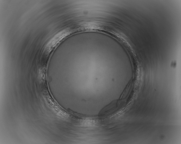 X0000115090785200912081233
