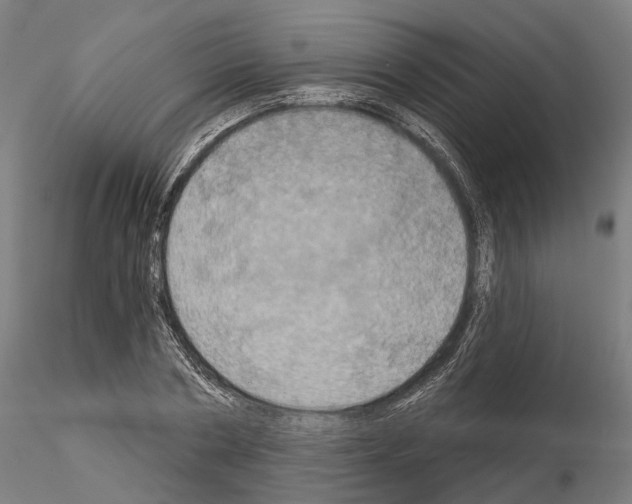 X0000115090786200912081233