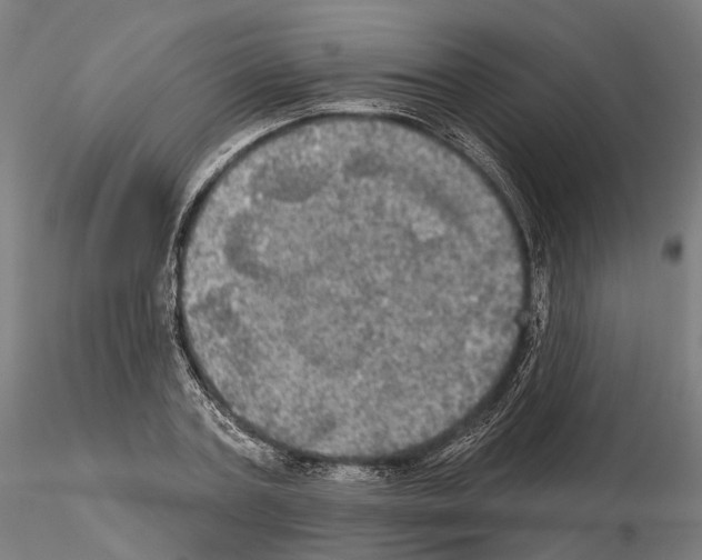 X0000115090787200912081233