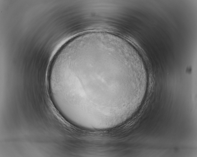 X0000115090788200912081233