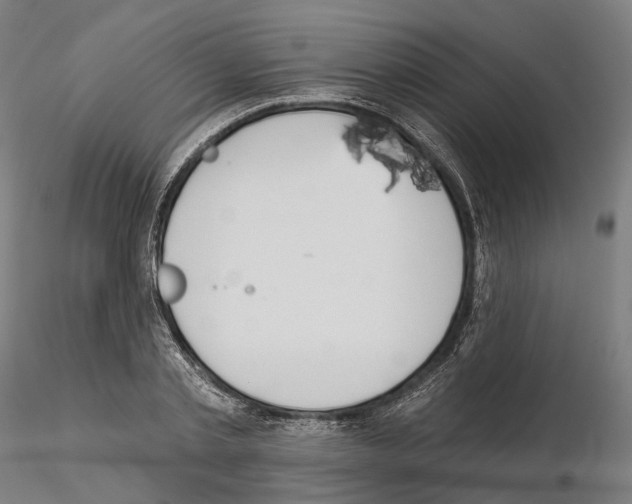 X0000115090789200912081233