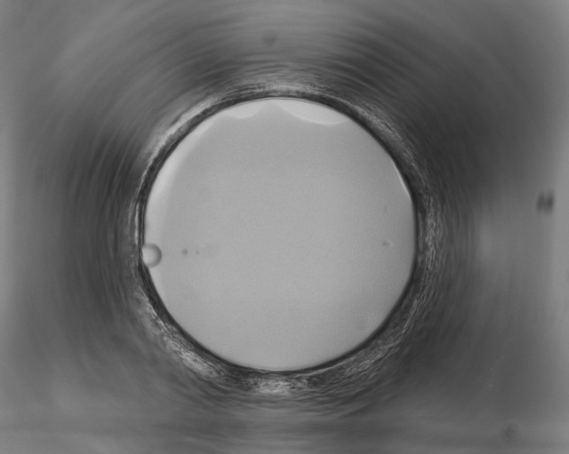 X0000115090790200912081233