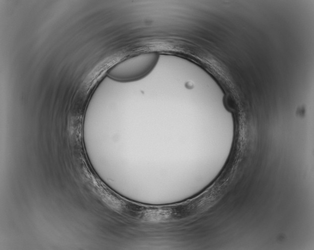X0000115090793200912081233